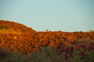 Murujuga rock art